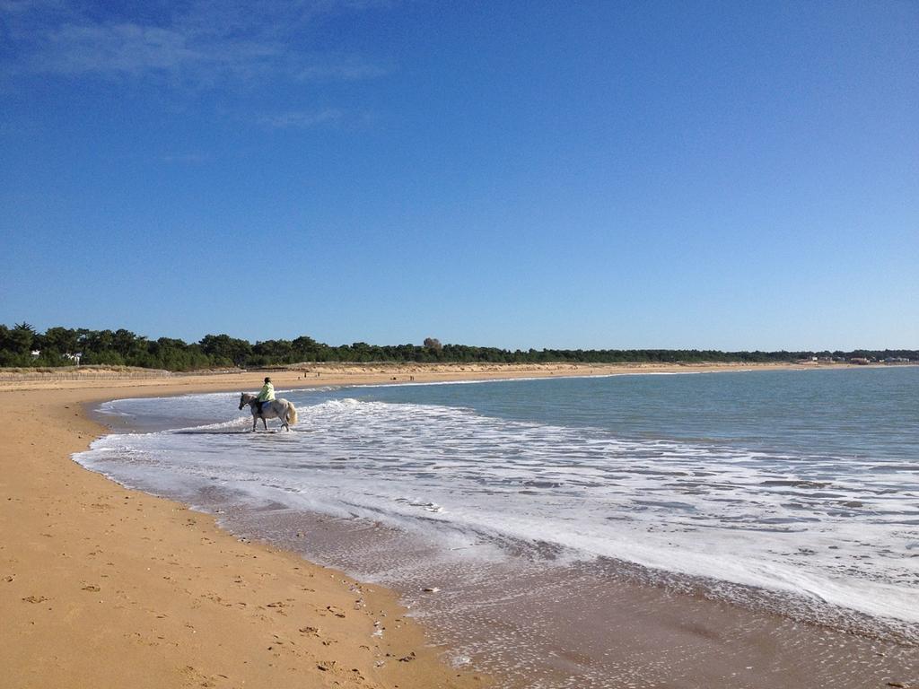 Apartment 43 M2 Front De 3 Cles La Tranche-sur-Mer
